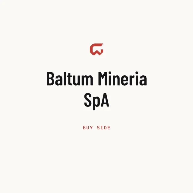 Buy side: Baltum Mineria SpA