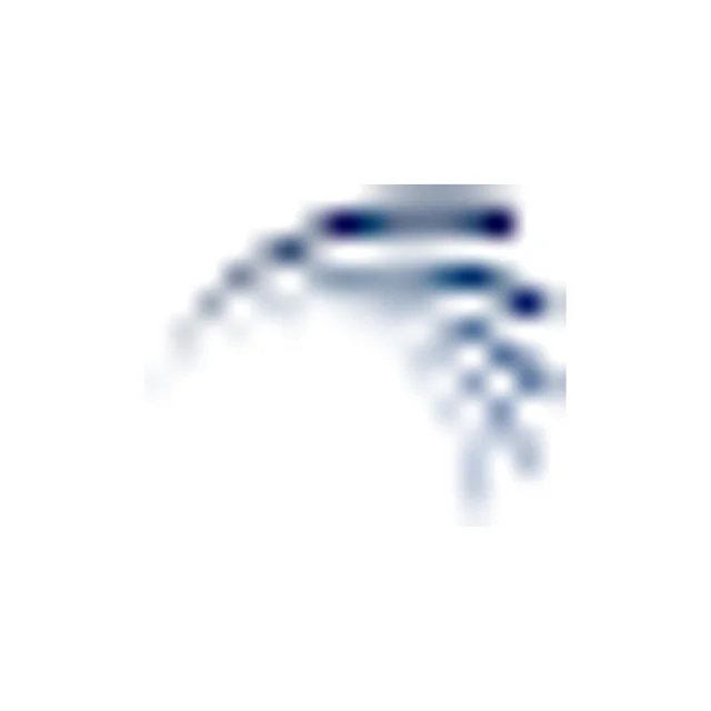 Target: SeaSpine Holdings Corporation