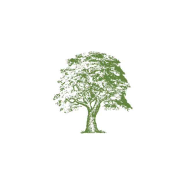 Buy side: Sycamore Partners