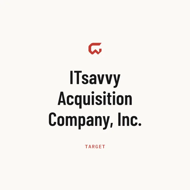 Target: ITsavvy Acquisition Company, Inc.